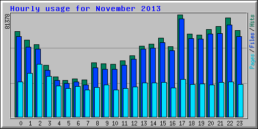 Hourly usage for November 2013